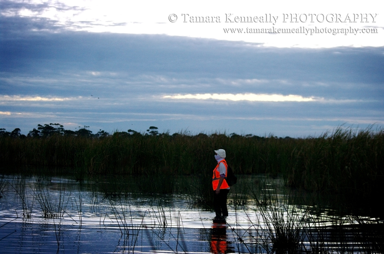 A duck rescuer waits for the first gun shot of the season