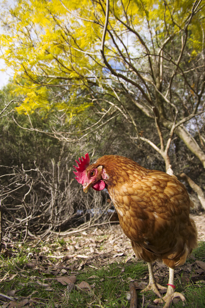 3ivyweb