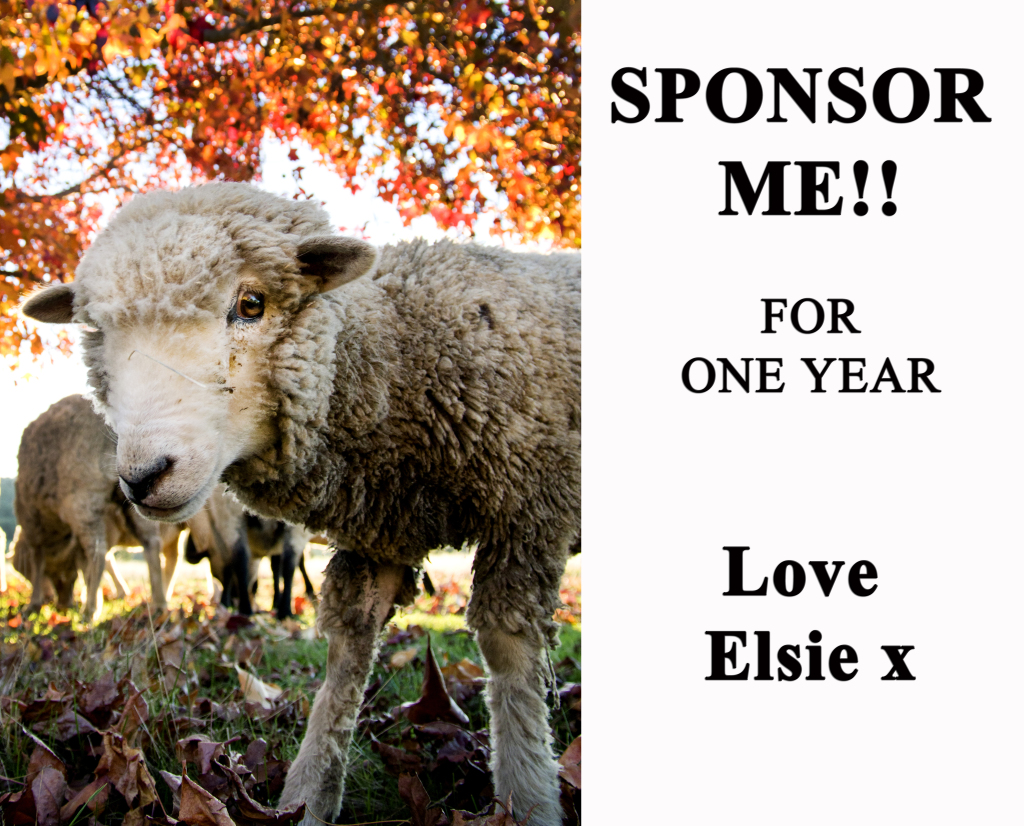 Elsie1