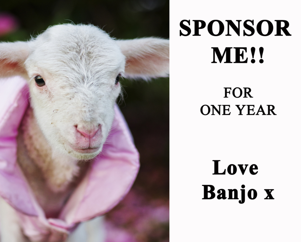 banjo1